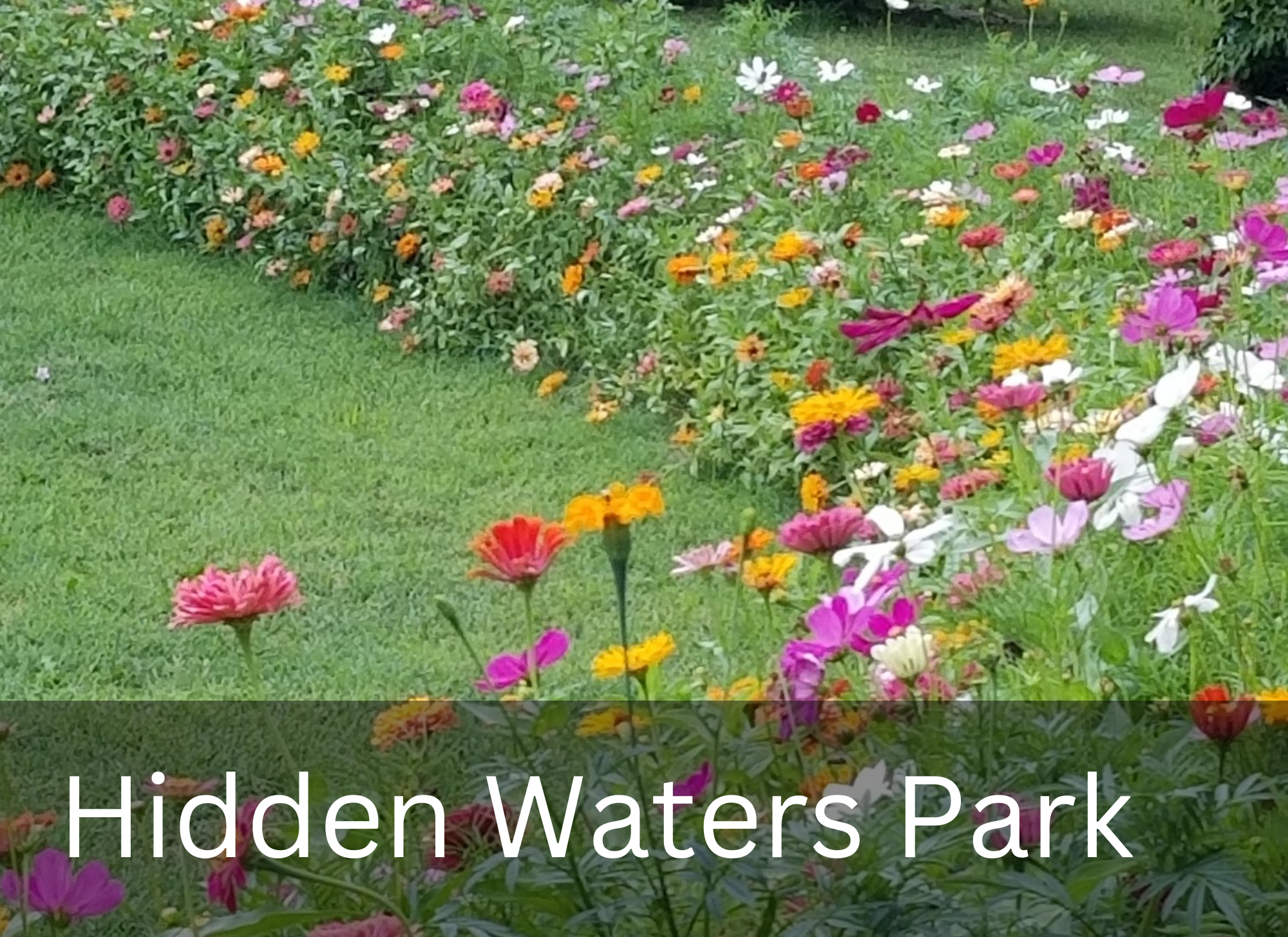 Hidden Waters Park